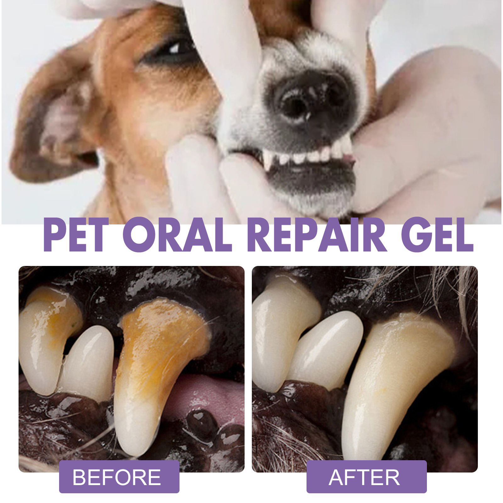 Gel per la riparazione orale d - Teeth Whitening Q&M recensione e prezzo